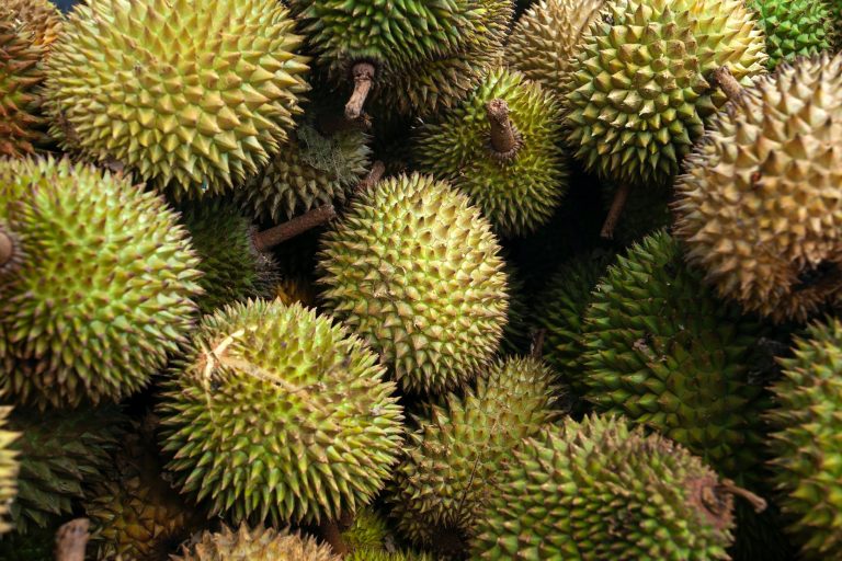 Manfaat Mengkonsumsi Buah Durian